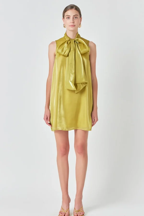 ENDLESS ROSE Tops*- Organza Mini Dress