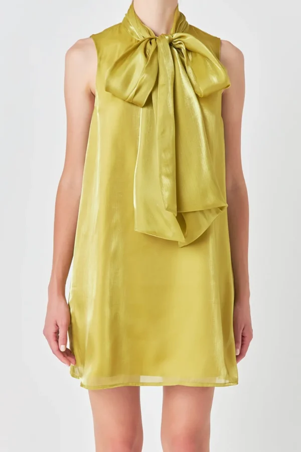 ENDLESS ROSE Tops*- Organza Mini Dress