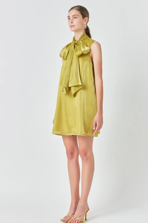 ENDLESS ROSE Tops*- Organza Mini Dress