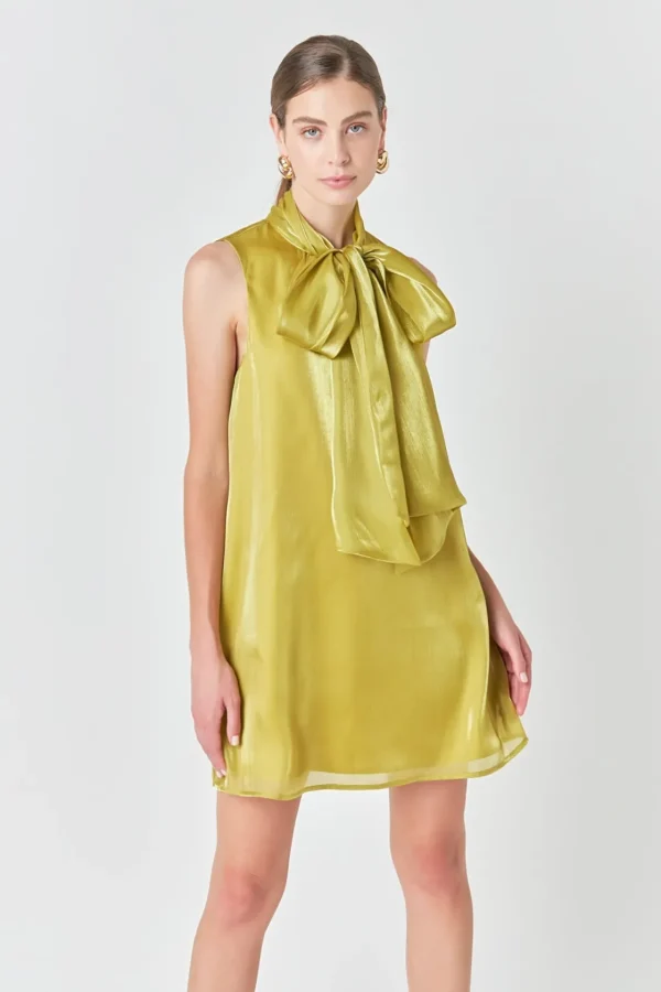 ENDLESS ROSE Tops*- Organza Mini Dress