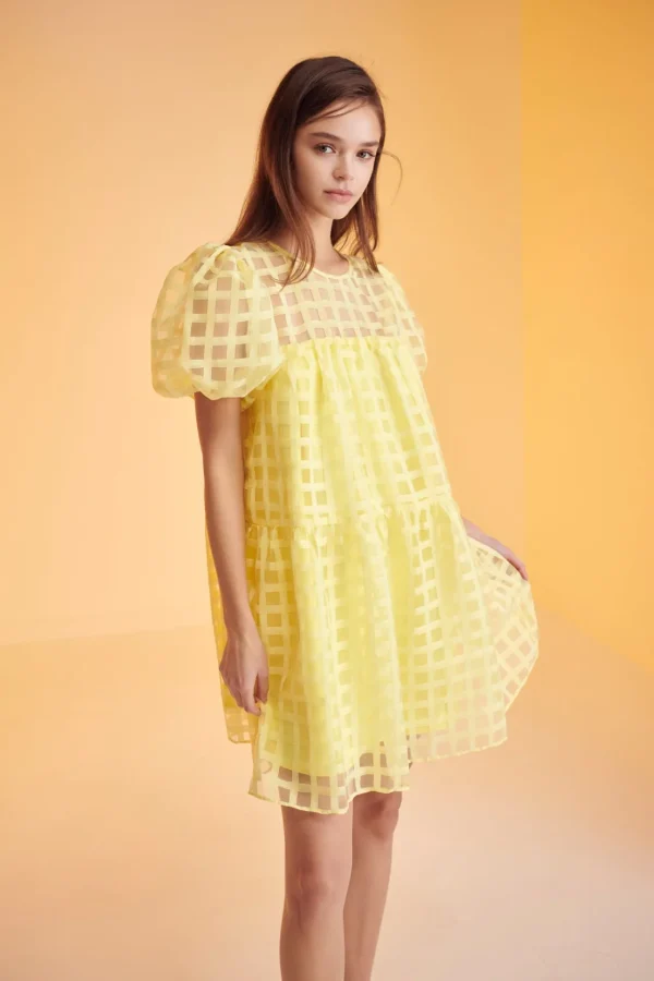 ENGLISH FACTORY Tops*- Gridded Organza Mini Dress