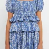 FREE THE ROSES Tops*- Floral Smocked Tiered Mini Dress BLUE