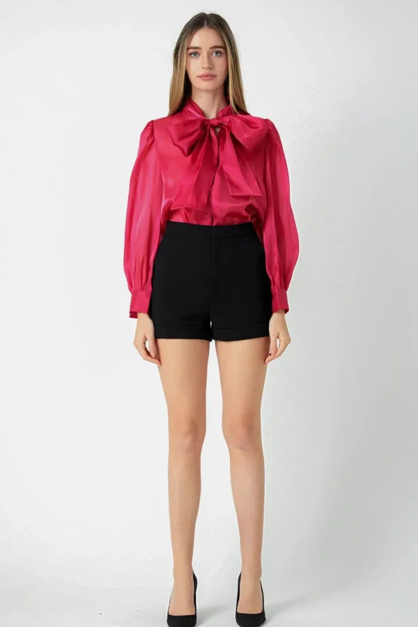 ENDLESS ROSE Tops*- Organza Blouse Top