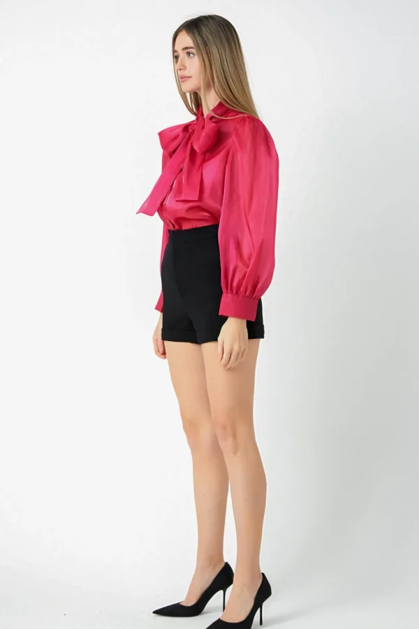 ENDLESS ROSE Tops*- Organza Blouse Top