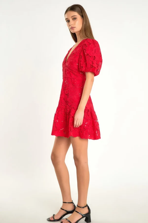 ENDLESS ROSE Lace Dresses | Sequin Dresses*- Sequins Lace Mini Dress