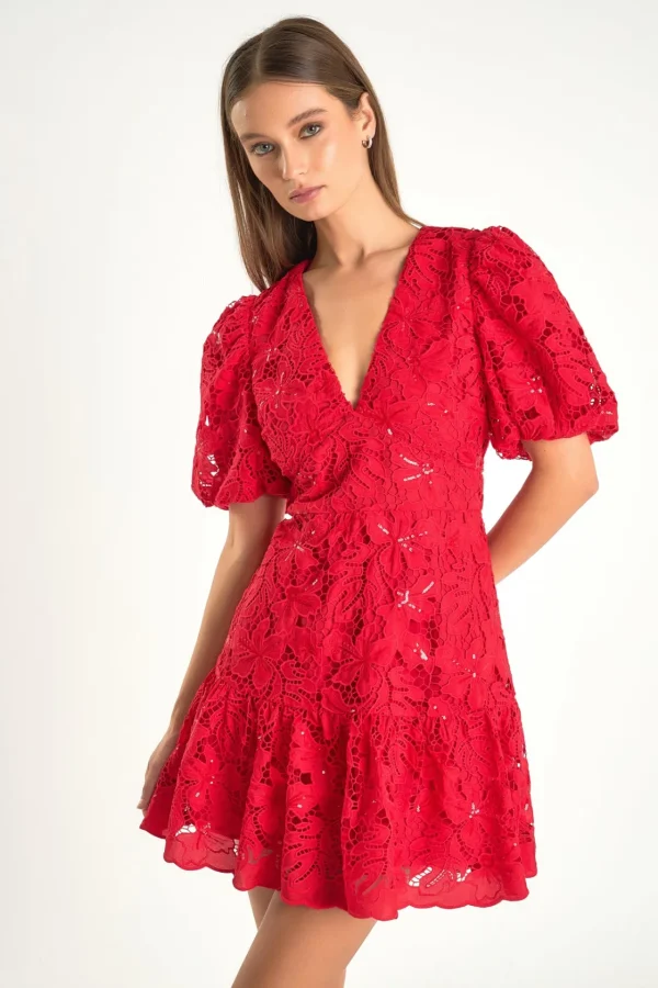 ENDLESS ROSE Lace Dresses | Sequin Dresses*- Sequins Lace Mini Dress