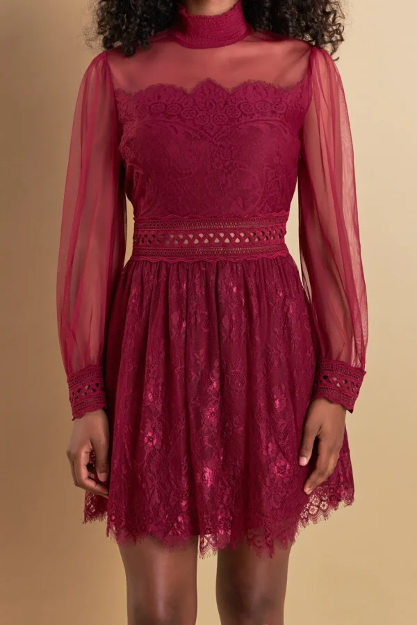 ENDLESS ROSE Lace Dresses | Little Black Dress*- Sheer Long Sleeve Lace Mini Dress