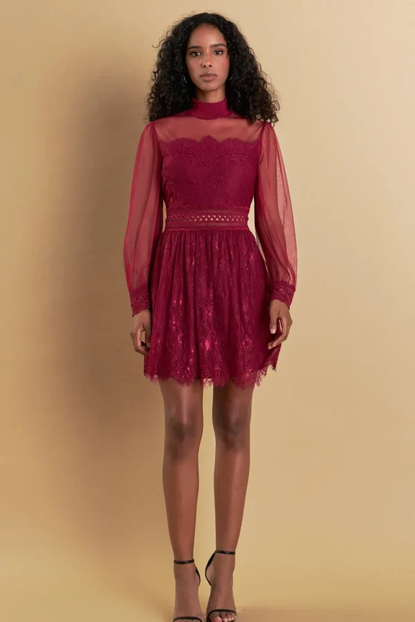 ENDLESS ROSE Lace Dresses | Little Black Dress*- Sheer Long Sleeve Lace Mini Dress
