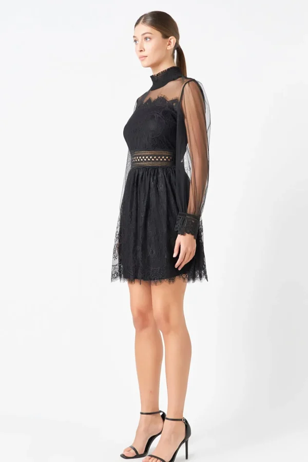 ENDLESS ROSE Lace Dresses | Little Black Dress*- Sheer Long Sleeve Lace Mini Dress