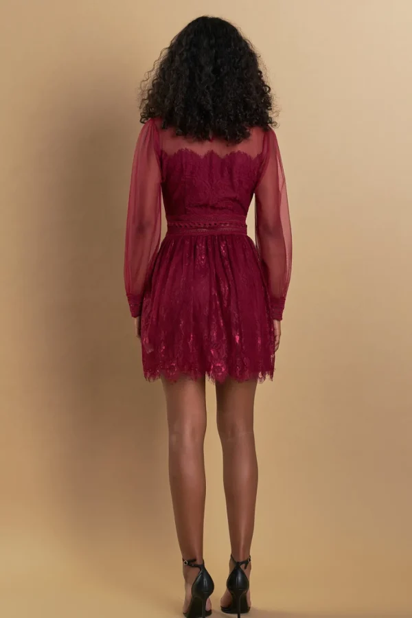 ENDLESS ROSE Lace Dresses | Little Black Dress*- Sheer Long Sleeve Lace Mini Dress