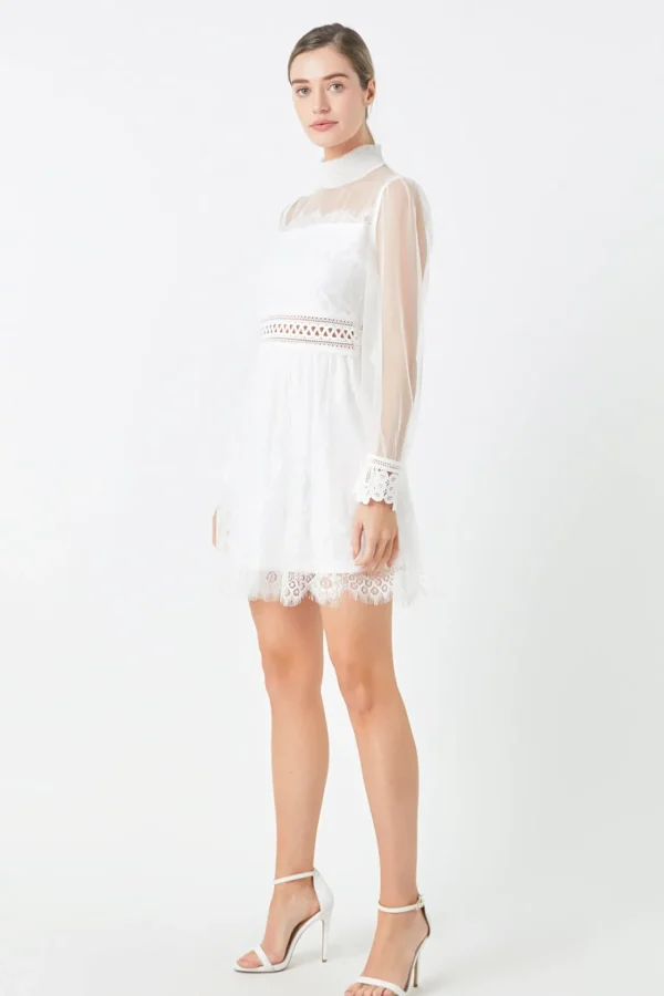 ENDLESS ROSE Lace Dresses | Little Black Dress*- Sheer Long Sleeve Lace Mini Dress