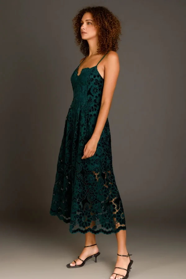 ENDLESS ROSE Lace Dresses | Tops*- Velvet Lace Midi Dress