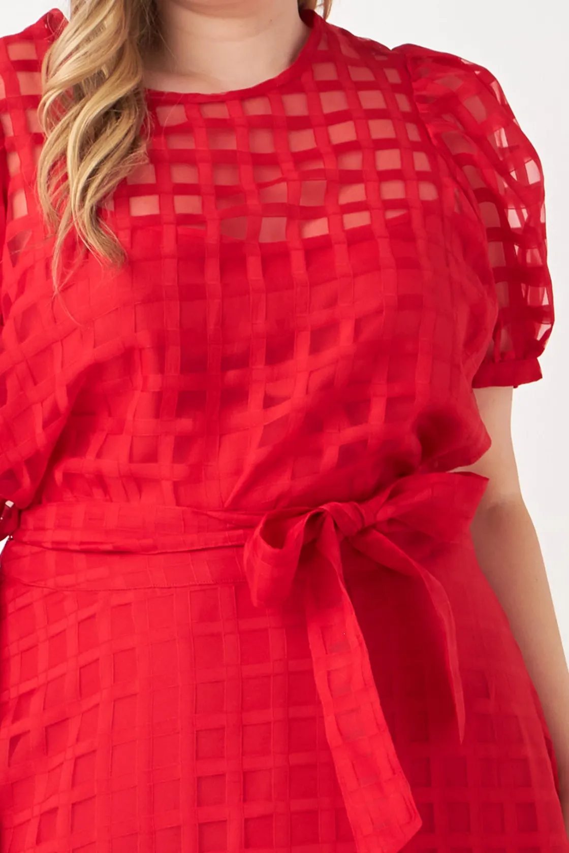 english_factory__plus_siz_0-28.webp ENGLISH FACTORY Skirts | Tops*- Plus Size Plaid Organza Fit & Flare Midi Skirt