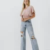 FREE THE ROSES Tops*- V-Neckline Cropped Top DUSTYPINK